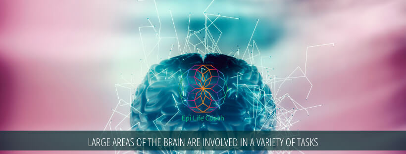 A mere 10 of our brain is all amazing humans can use A mere 10 of our brain is all amazing humans can use