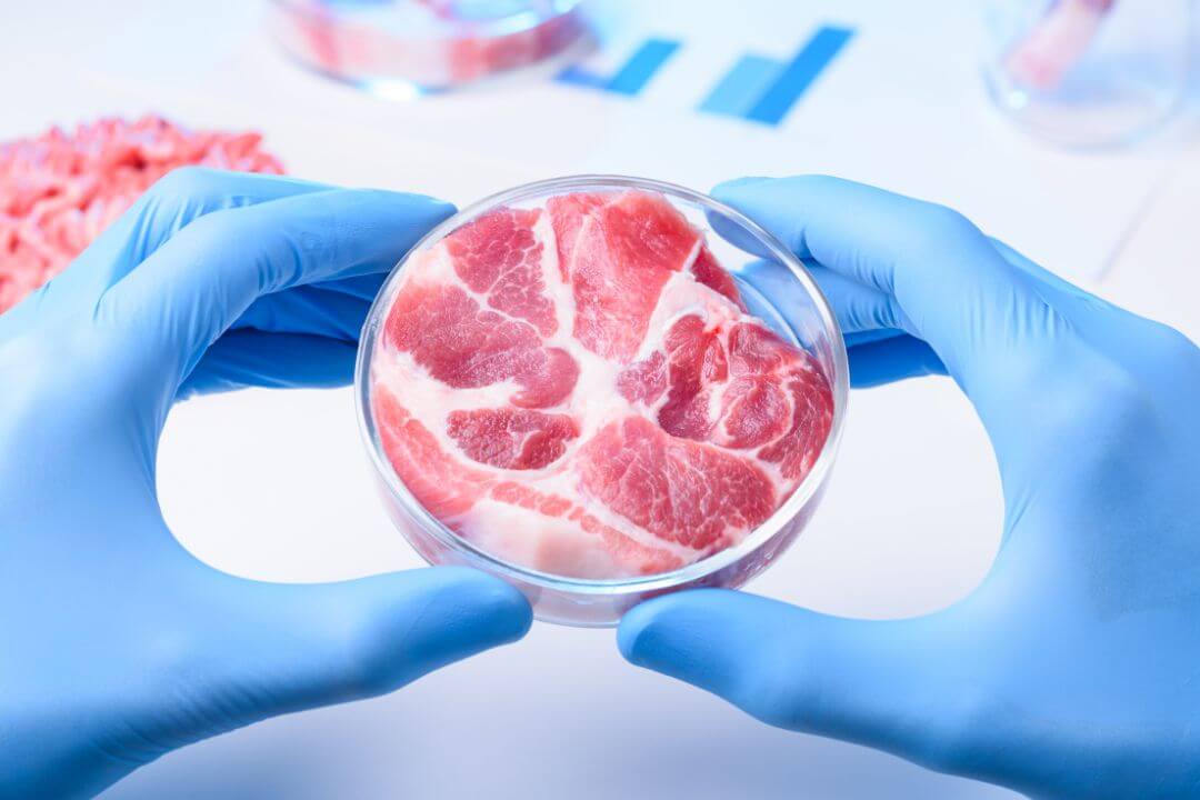 The Dawn of Lab Grown Meat