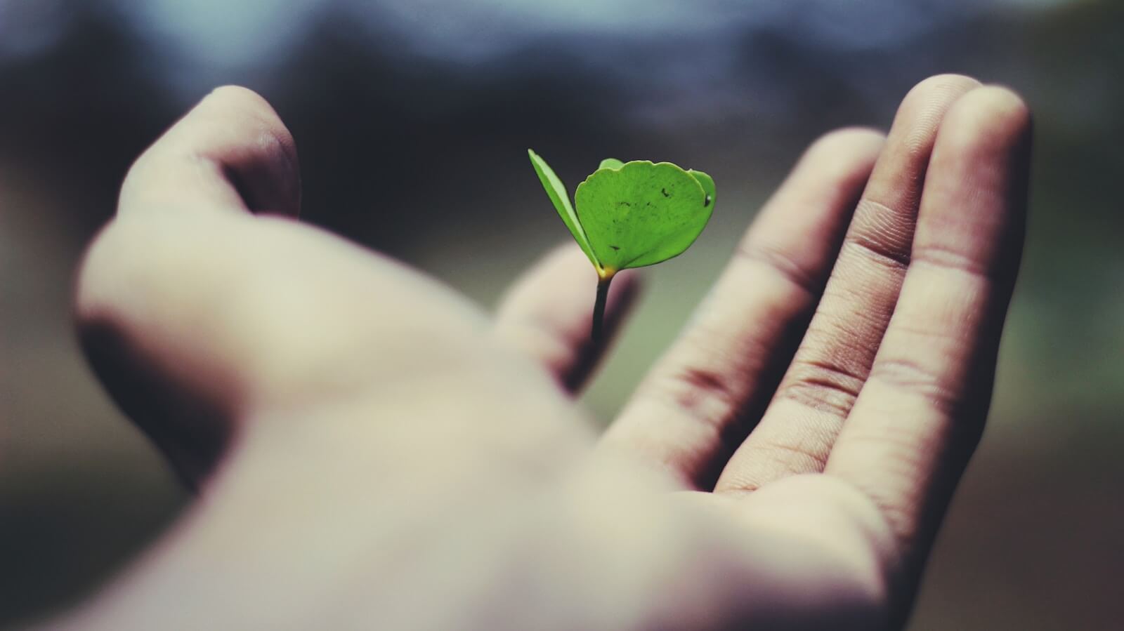 Personal growth is a lifelong journey