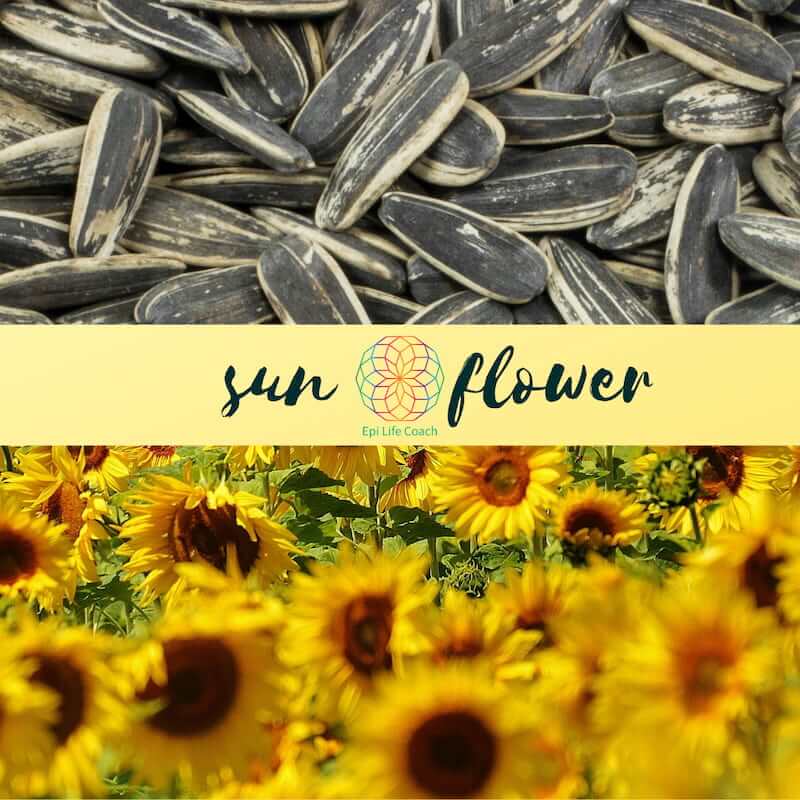 Sunflower seeds can be one of the healthiest snacks you can have