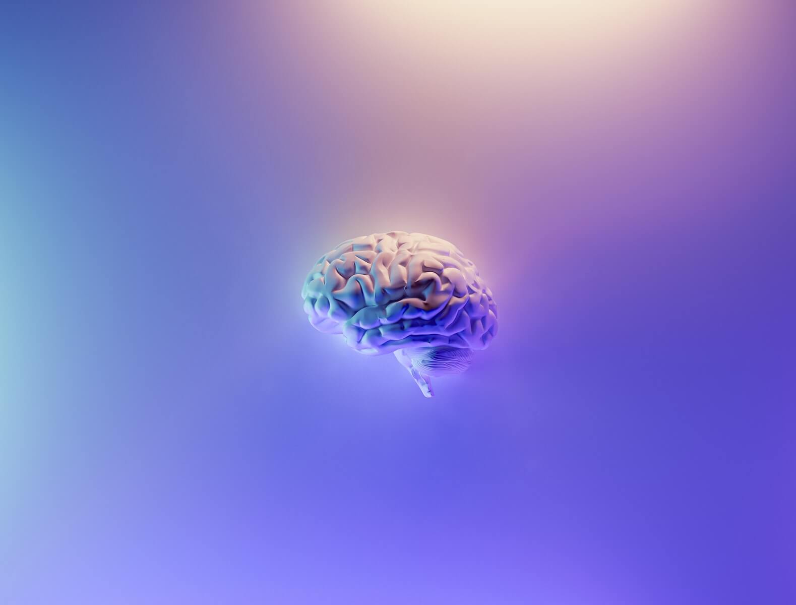 Colorful brain