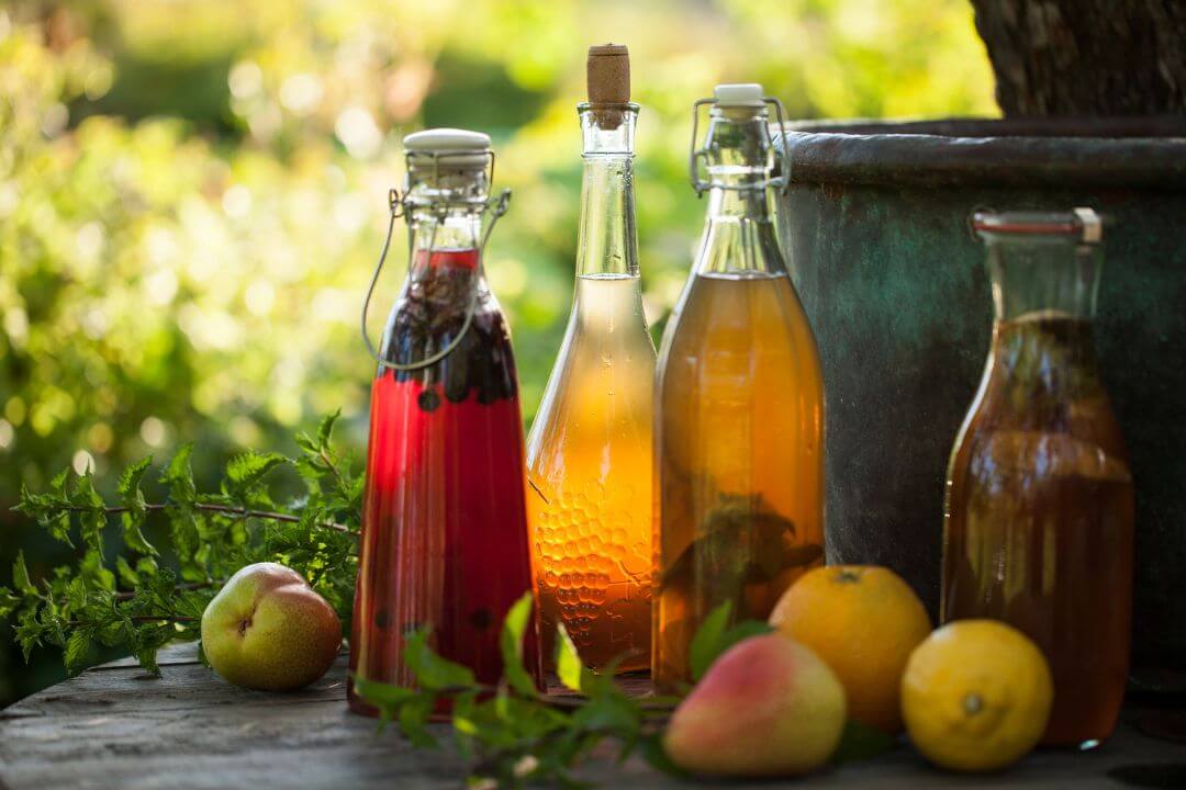 Kombucha: Properties, Qualities and Uses