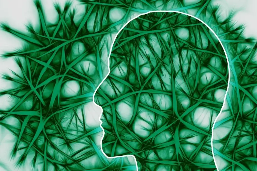 The Mysteries of Brain Complexity: Unraveling the Neural Network