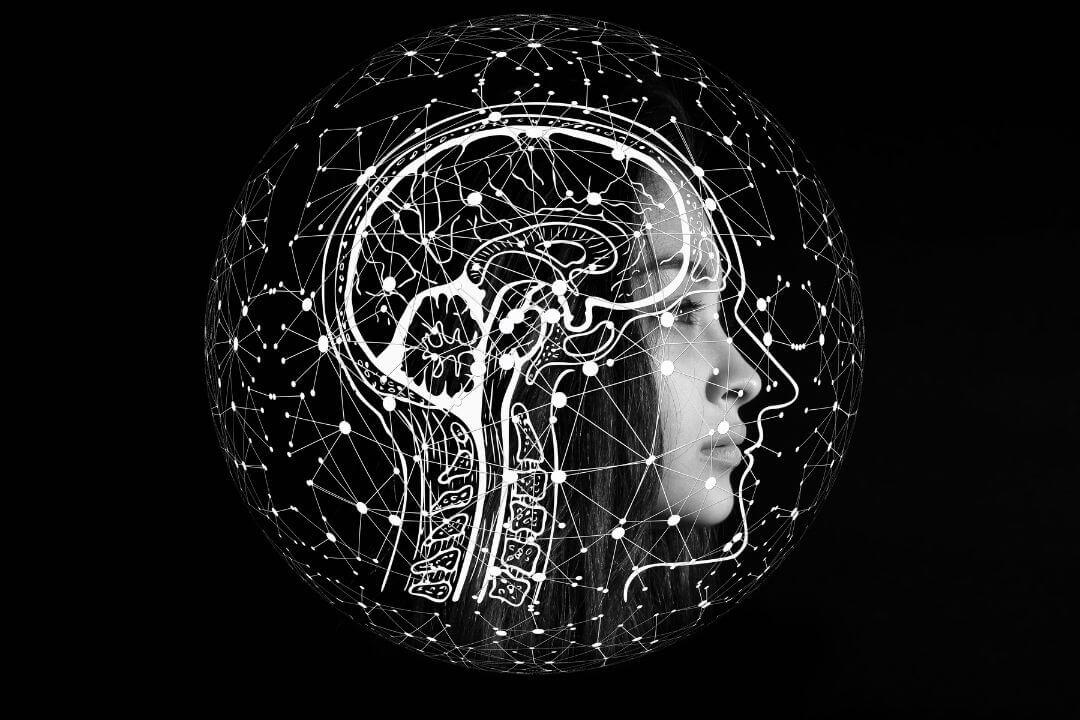 Surprising Facts About the Human Brain