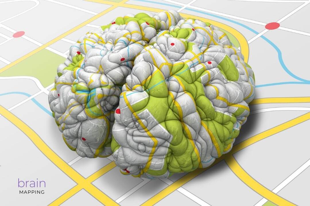 brain mapping