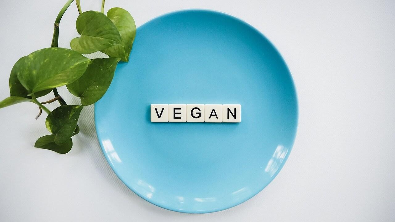 vegan, vegan diet, veganism, plant based, vegetables, plant based, plant based, plant based, plant based, plant based